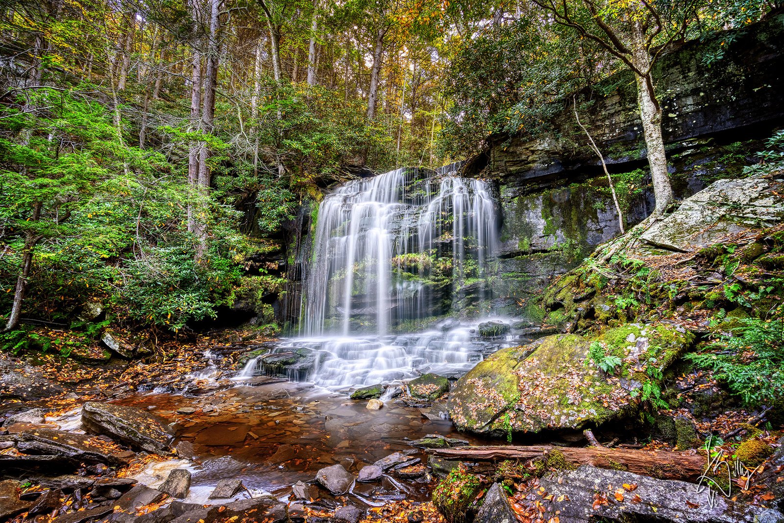 Neversink’s Hidden Waterfalls: A Peaceful Escape on the Trail
