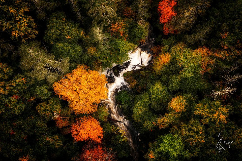 Slabsides - John Burroughs Nature Sanctuary Black Creek Falls 2