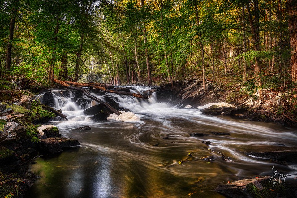 Slabsides - John Burroughs Nature Sanctuary Black Creek Falls 3