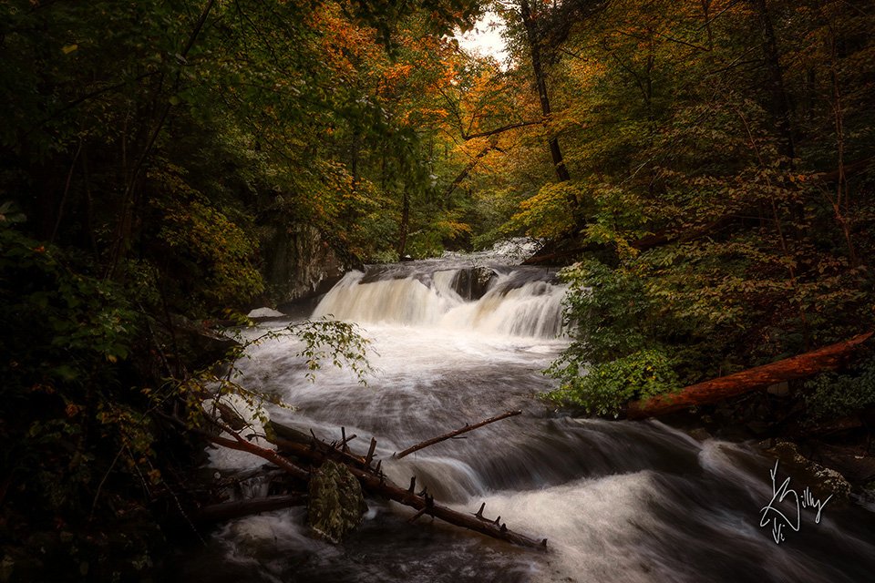 Slabsides - John Burroughs Nature Sanctuary Black Creek Falls 5