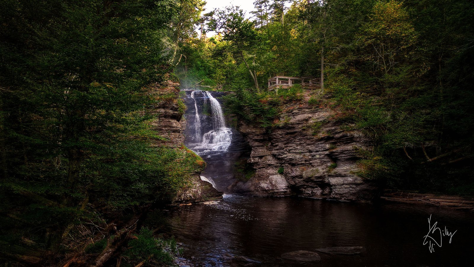 Experience the Beauty of George W Childs Recreation Park