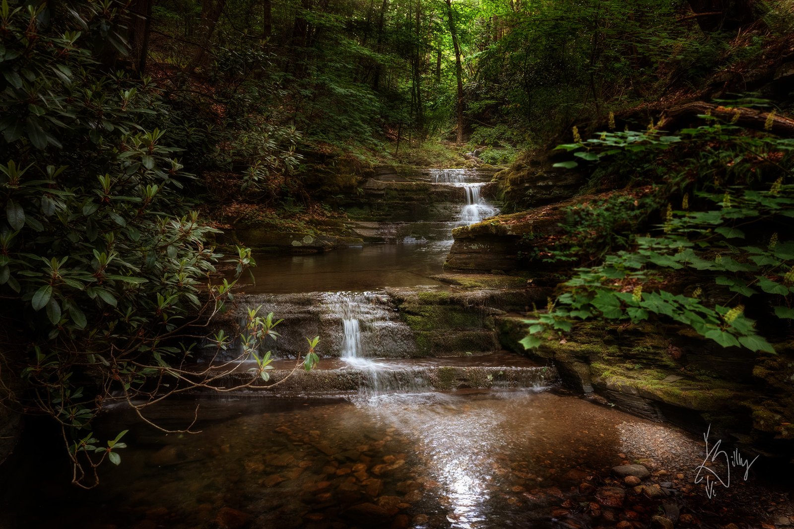 Diana’s Pool on South Gully