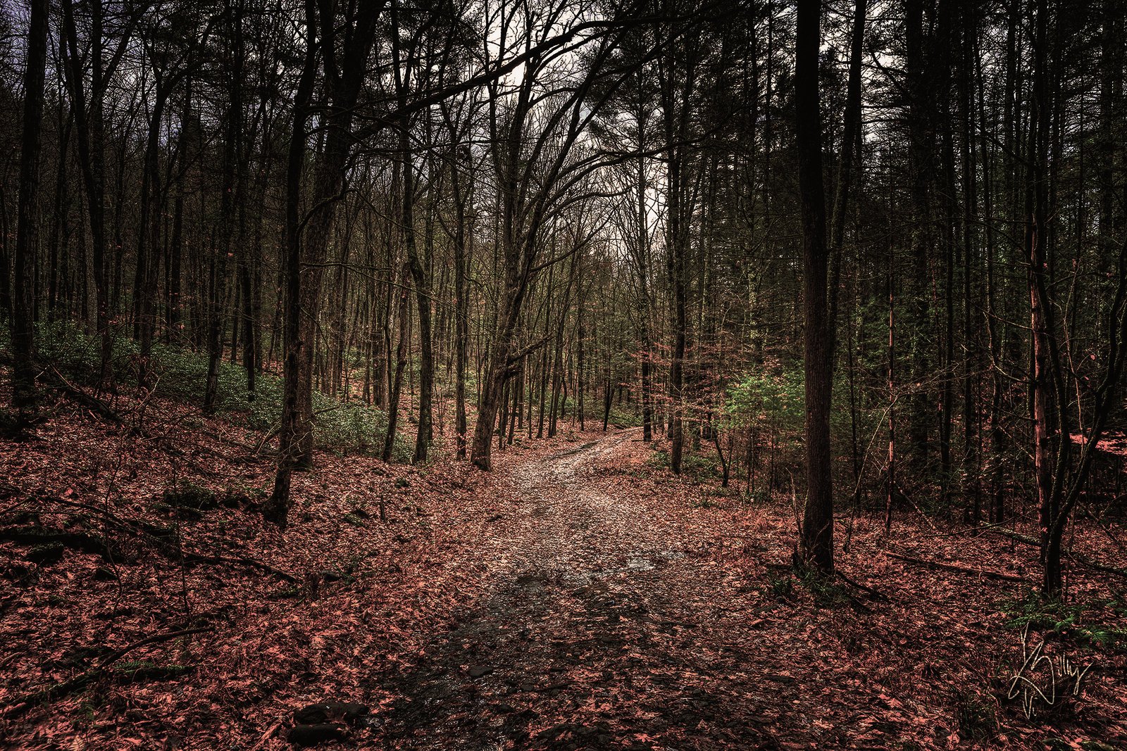 Pottersville on Lundy Road