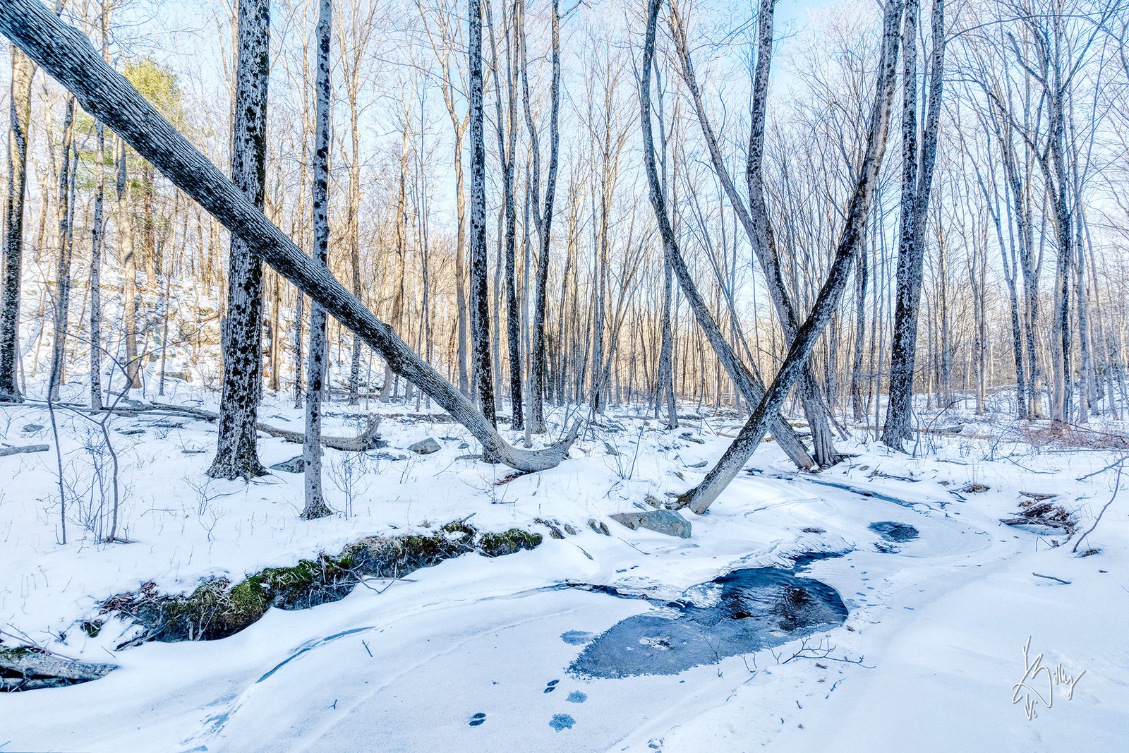 Winter Hiking Adventures at Fuller Mountain