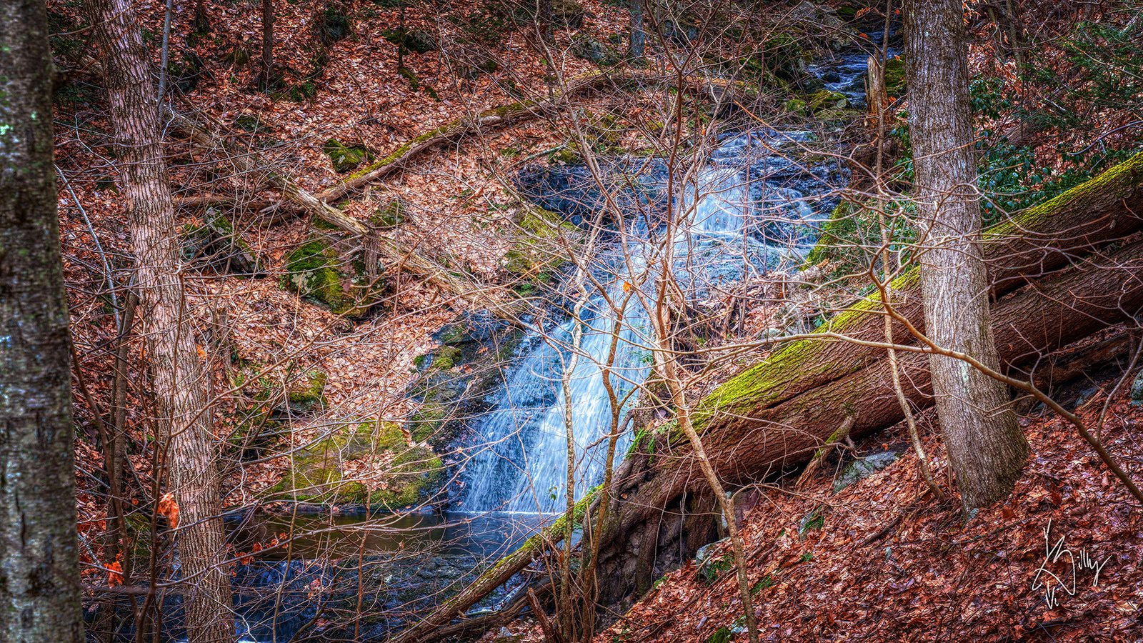 Lenape Ridge Trail at Huckleberry Ridge