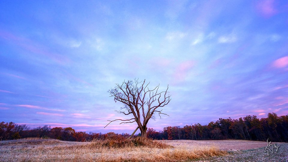 Stewart State Forest In The Fall