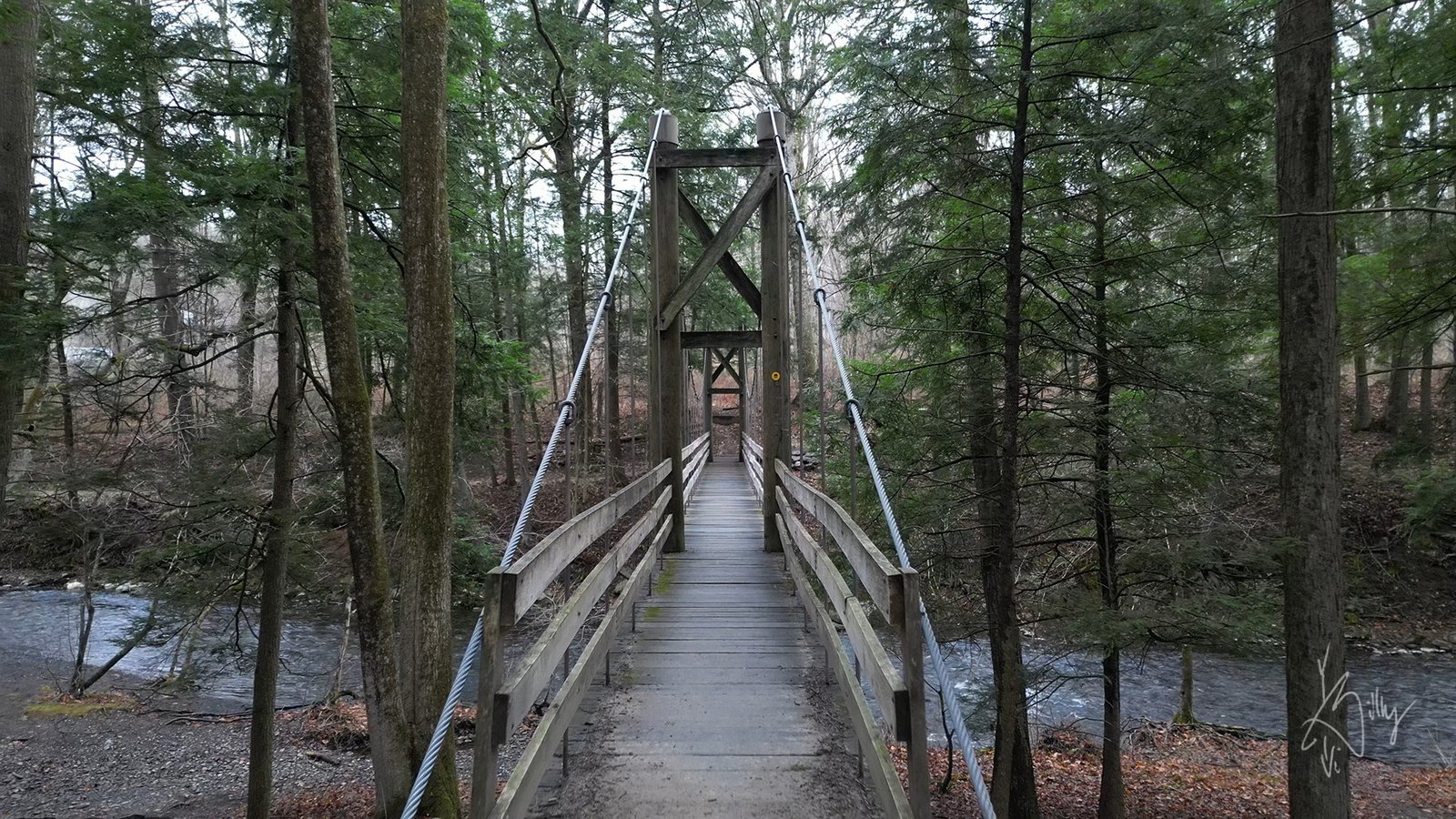 Discover the Unique Bridge at Black Creek Preserve