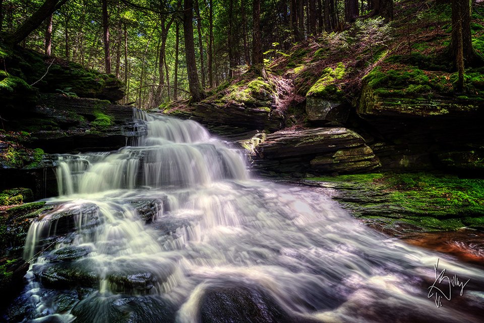 Willowemoc Creek and Bendo Covered Bridge